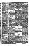 Weymouth Telegram Friday 08 December 1882 Page 5