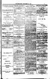Weymouth Telegram Friday 22 December 1882 Page 3