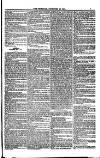 Weymouth Telegram Friday 22 December 1882 Page 7