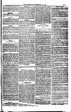 Weymouth Telegram Friday 22 December 1882 Page 13