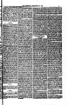 Weymouth Telegram Friday 29 December 1882 Page 5