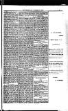 Weymouth Telegram Friday 29 December 1882 Page 9
