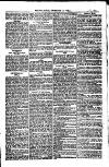 Weymouth Telegram Friday 29 December 1882 Page 13