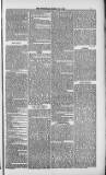 Weymouth Telegram Friday 23 March 1883 Page 7