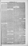Weymouth Telegram Friday 13 April 1883 Page 7