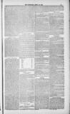 Weymouth Telegram Friday 13 April 1883 Page 13