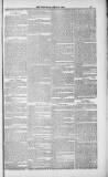 Weymouth Telegram Friday 20 April 1883 Page 11