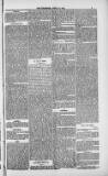 Weymouth Telegram Friday 27 April 1883 Page 5