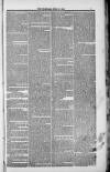 Weymouth Telegram Friday 27 April 1883 Page 7