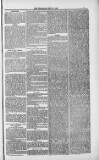 Weymouth Telegram Friday 25 May 1883 Page 7