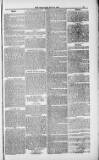 Weymouth Telegram Friday 25 May 1883 Page 11