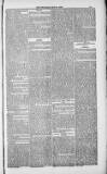 Weymouth Telegram Friday 25 May 1883 Page 13