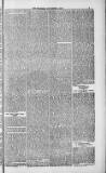 Weymouth Telegram Friday 09 November 1883 Page 5