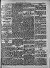 Weymouth Telegram Friday 18 January 1884 Page 11