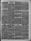 Weymouth Telegram Friday 29 February 1884 Page 13