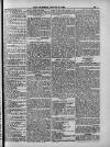 Weymouth Telegram Friday 29 August 1884 Page 13