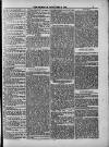 Weymouth Telegram Friday 05 September 1884 Page 7