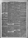 Weymouth Telegram Friday 05 December 1884 Page 13