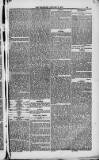 Weymouth Telegram Friday 02 January 1885 Page 13