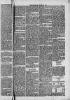 Weymouth Telegram Friday 09 January 1885 Page 5