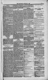 Weymouth Telegram Friday 09 January 1885 Page 9