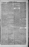 Weymouth Telegram Friday 08 January 1886 Page 3