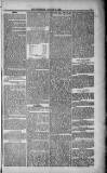 Weymouth Telegram Friday 08 January 1886 Page 5