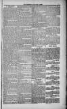 Weymouth Telegram Friday 15 January 1886 Page 3
