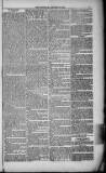 Weymouth Telegram Friday 22 January 1886 Page 3