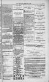 Weymouth Telegram Friday 05 February 1886 Page 13