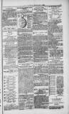 Weymouth Telegram Friday 05 February 1886 Page 15