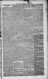 Weymouth Telegram Friday 12 February 1886 Page 3
