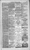 Weymouth Telegram Friday 19 February 1886 Page 13