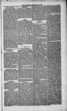 Weymouth Telegram Friday 26 February 1886 Page 5