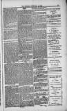 Weymouth Telegram Friday 26 February 1886 Page 13