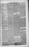 Weymouth Telegram Friday 05 March 1886 Page 7
