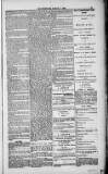 Weymouth Telegram Friday 05 March 1886 Page 13