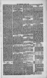 Weymouth Telegram Friday 02 April 1886 Page 7