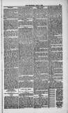Weymouth Telegram Friday 02 April 1886 Page 13
