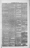 Weymouth Telegram Friday 09 April 1886 Page 3