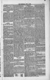 Weymouth Telegram Friday 09 April 1886 Page 5