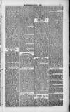 Weymouth Telegram Friday 09 April 1886 Page 7