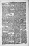 Weymouth Telegram Friday 09 April 1886 Page 13