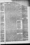 Weymouth Telegram Friday 16 April 1886 Page 3