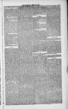 Weymouth Telegram Friday 23 April 1886 Page 7