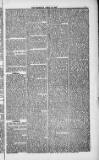 Weymouth Telegram Friday 30 April 1886 Page 5