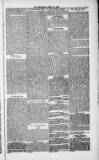 Weymouth Telegram Friday 30 April 1886 Page 7