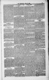 Weymouth Telegram Friday 30 April 1886 Page 13