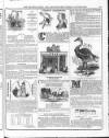 Railway Bell and London Advertiser Saturday 17 August 1844 Page 31