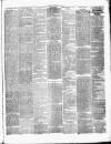 Herald of Wales Saturday 10 February 1883 Page 3